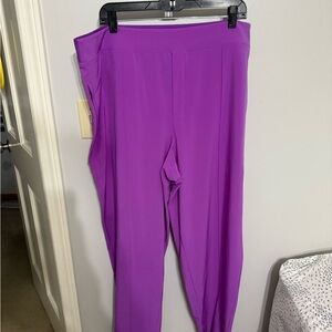 Athleta Purple Trousers with Full-Length Legs
